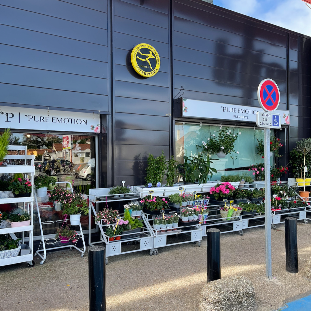 FLEURISTE PURE EMOTION