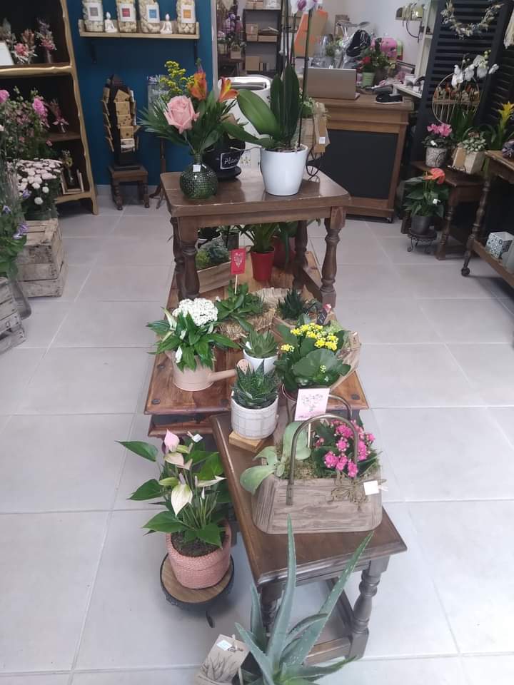 Les Décorations de Patricia
