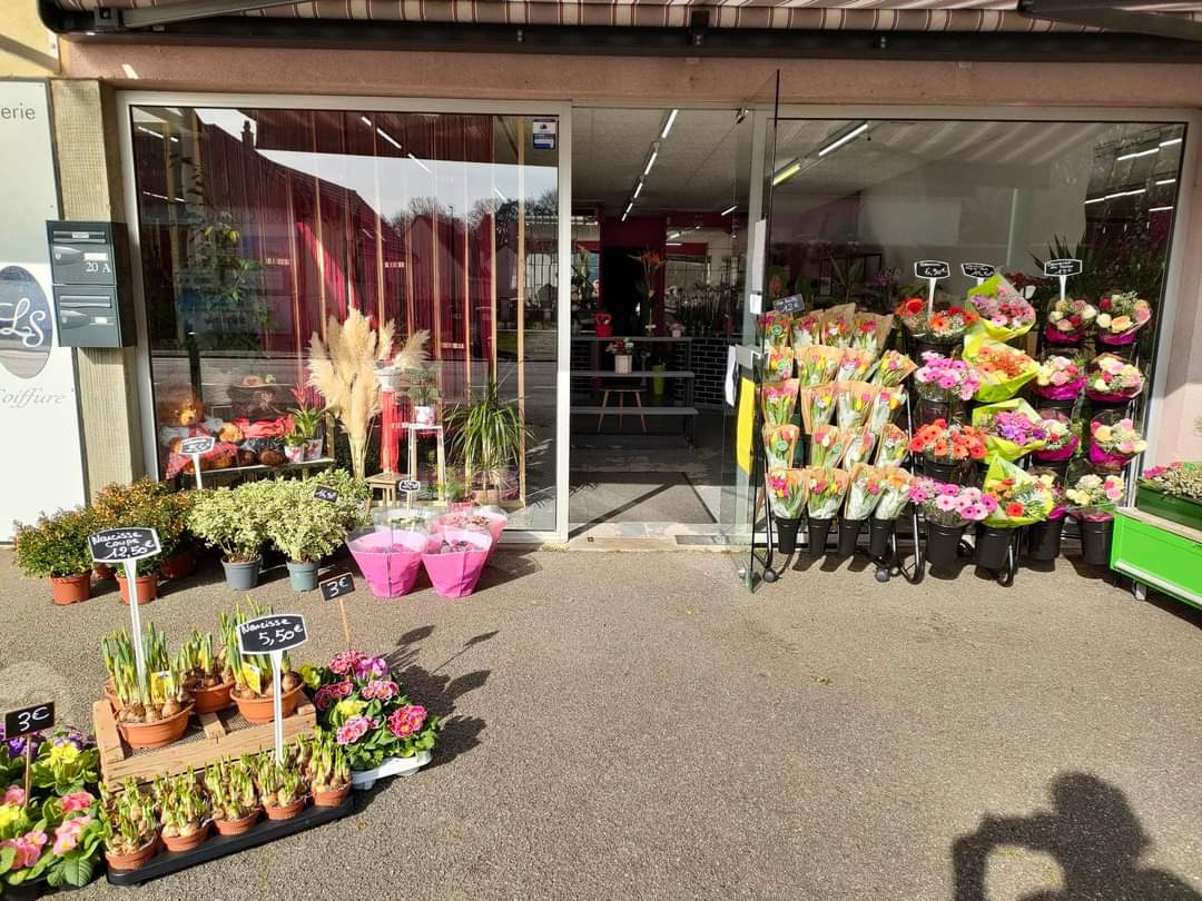 Ma pensée créative