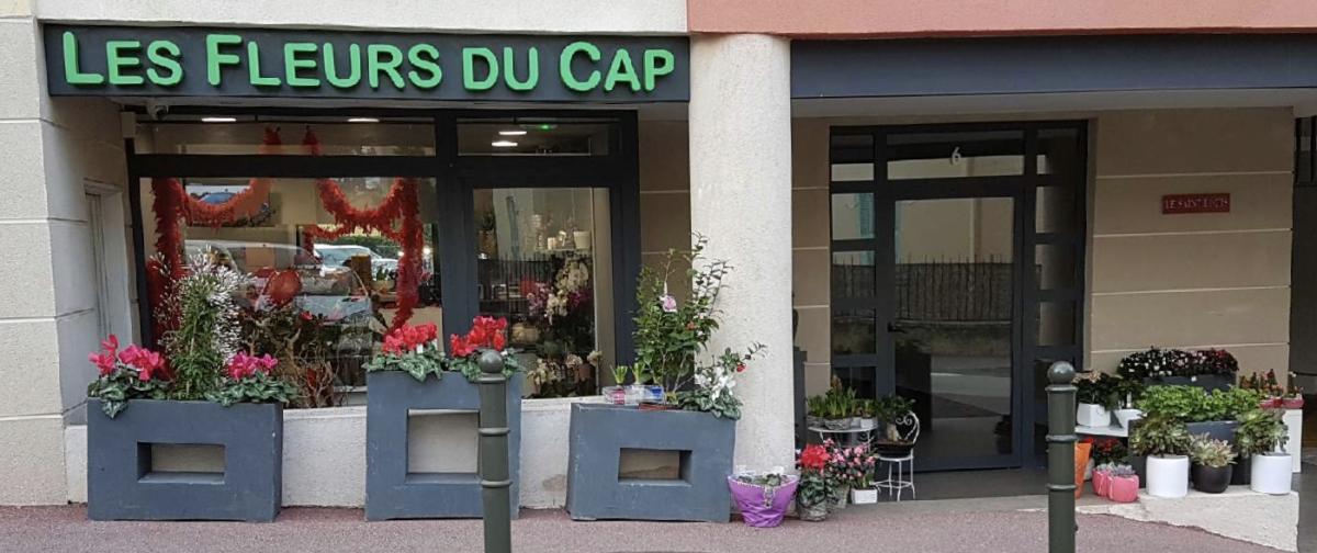 Les Fleurs du Cap