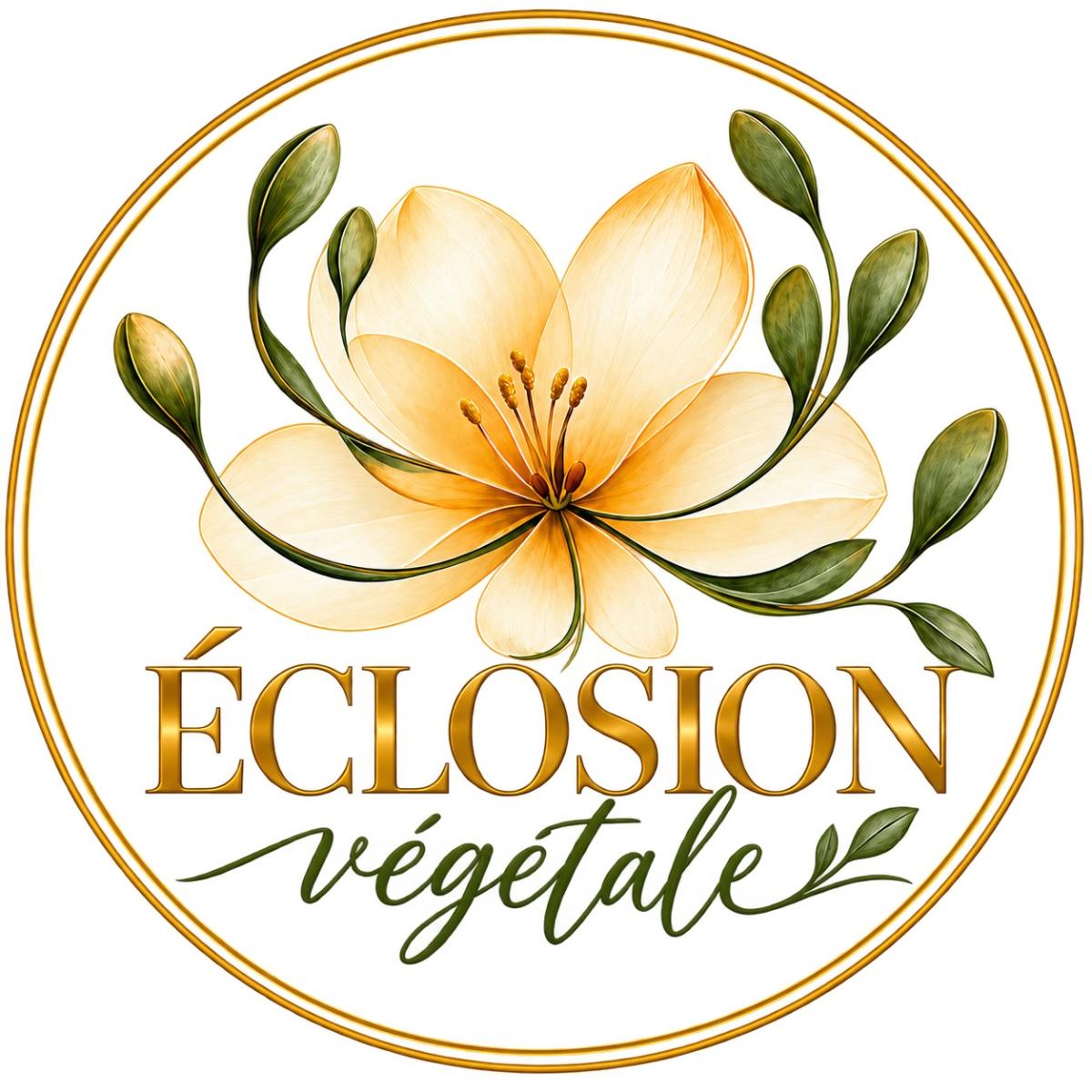 Eclosion végétale Fleuriste - Fleuriste à Pernes-les-Fontaines