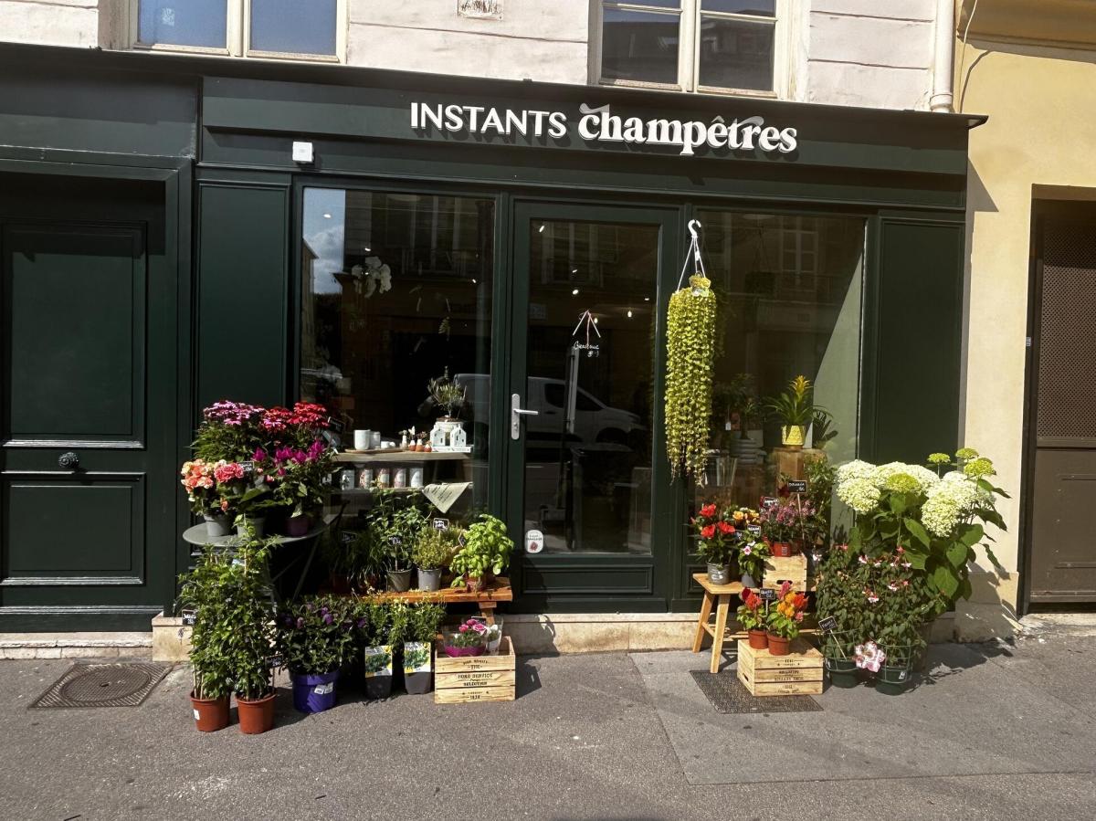Instants Champêtres, votre fleuriste à Versailles Saint-Louis