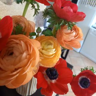 Fleuriste Au Lilas Rose 0