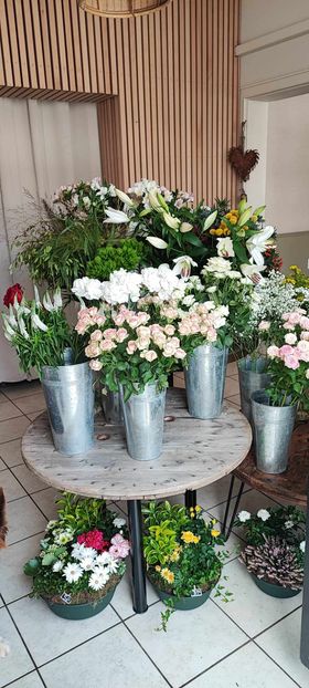 Fleuriste Inspiration Végétale Fauquembergues 0