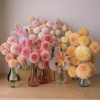 Fleuriste Kimua - Fleuriste 💐 0