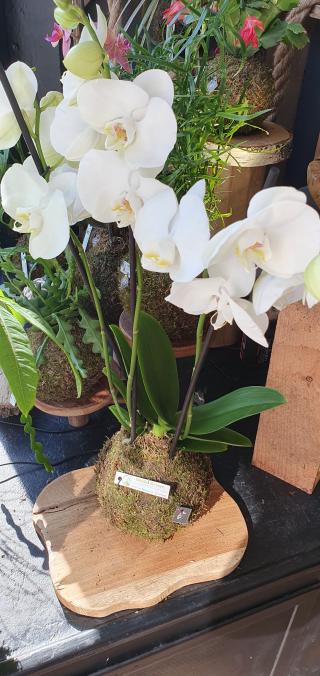 Fleuriste Boules de vert 0