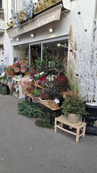 Fleuriste ALICE WONDERFUL FLOWERS 0