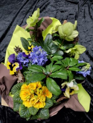 Fleuriste BOUTIQUE CAPUCINE; Atelier gravure Pérot/ Fleuriste 0