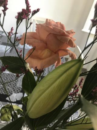 Fleuriste Aux Fleurs des Collines 0