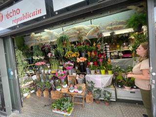 Fleuriste Fleurs epars 1