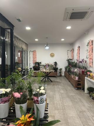 Fleuriste MIMOZA-Fleuriste 0
