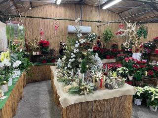 Fleuriste Jardinerie Salussolia 2