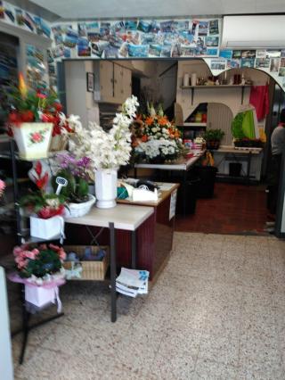 Fleuriste Viale Fleurs 0