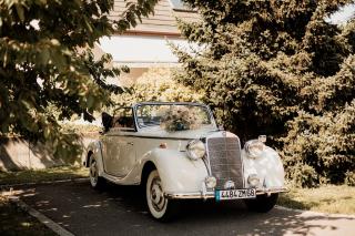 Fleuriste Bleu et Coquelicot | Fleuriste Riedisheim 0