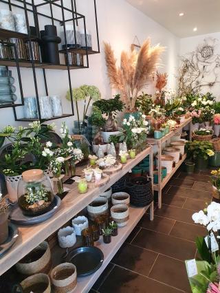 Fleuriste Rouge Coquelicot 0