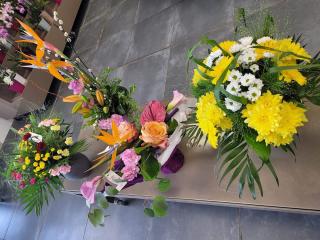 Fleuriste Marché aux Fleurs La Souterraine 0
