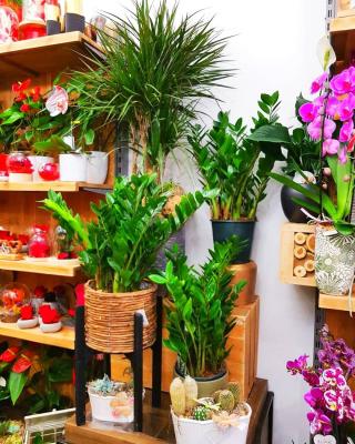 Fleuriste Fleurs De Bohème 0