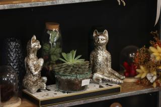 Fleuriste L'Or En Fleur 0