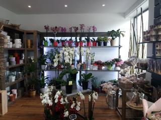 Fleuriste Au Bois Fleuri 0