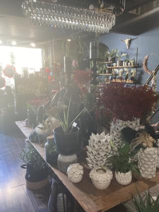 Fleuriste Fleuriste - Le pavillon des anémones 0