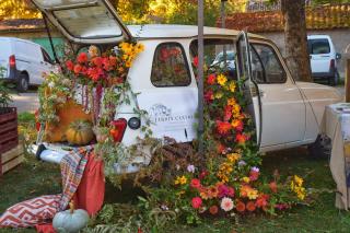 Fleuriste Jardin Cantous 0