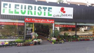 Fleuriste Aux Fleurs des Anges 0
