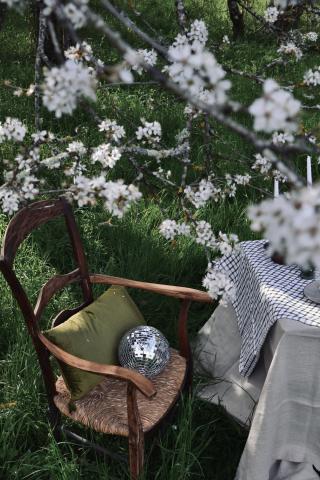 Fleuriste Studio 149 0