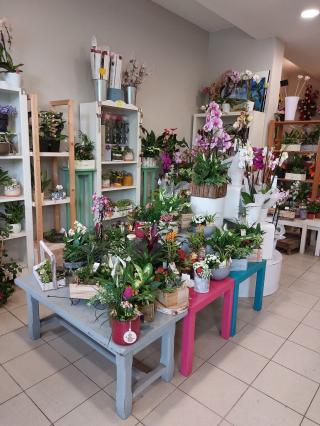 Fleuriste Domino 1