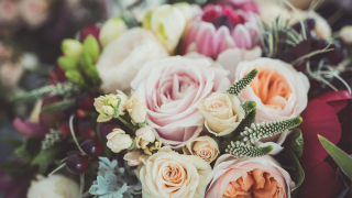 Fleuriste Graine d'onyx 1