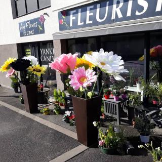 Fleuriste Ain Fleurs et Sens 0