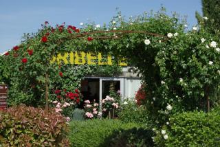 Fleuriste Floribelle 2