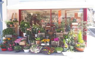 Fleuriste Aux Bois Fleuris SARL 0