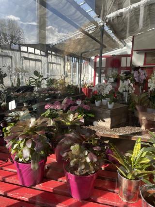 Fleuriste Maison Beauvironnois 2