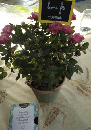 Fleuriste Mme Hermelin Marie-Claude 1
