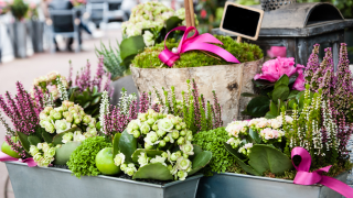 Fleuriste Jardin de Raphaëlle 1