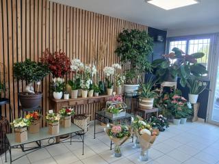 Fleuriste Fleurs et Feuillages 0