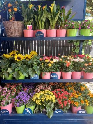 Fleuriste Monceau Fleurs 1