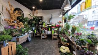 Fleuriste Fleuriste Nantes - Vert la Couleur 1