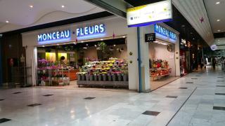 Fleuriste Monceau Fleurs 0