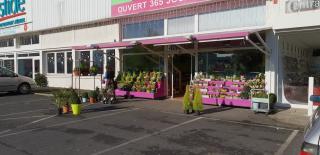 Fleuriste Fleurs et Sentiments 0