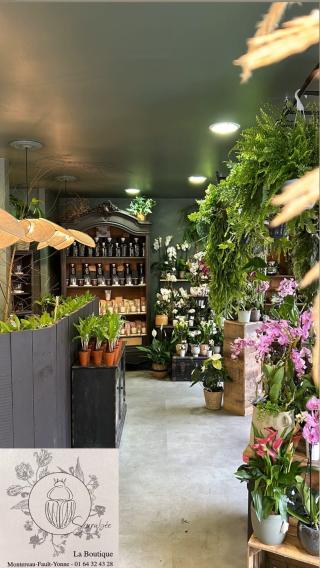 Fleuriste Scarabée La Boutique 0