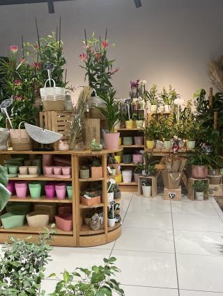 Fleuriste O jardin des fleurs 0