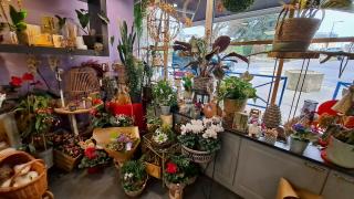 Fleuriste La Pensée de Violette 1