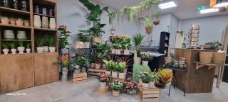 Fleuriste Ambianc'Pétale 1
