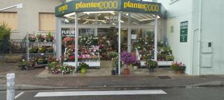 Fleuriste Plantes 2000 0