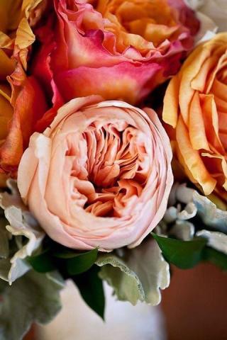 Fleuriste Mil et une fleur | Fleuriste Orléans 1