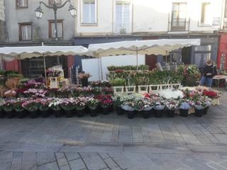 Fleuriste Kooij Nicolas 0