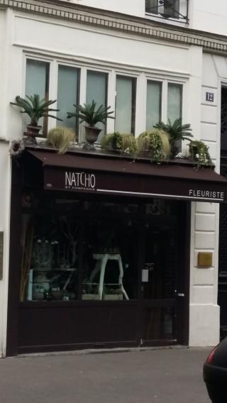 Fleuriste Natcho et Compagnie 0