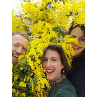 Fleuriste O'kiosque Lyon 0