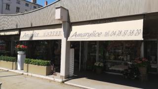 Fleuriste AMARYLICE 0